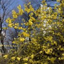 더트리니티(주) 이미지