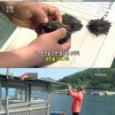 해삼