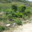 동곡농장 이미지