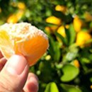 우리농장1 이미지