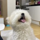 하송힐링하우스 이미지