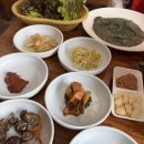 제주복돼지 이미지