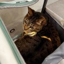 유니온동물병원 이미지