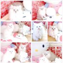 가야2동-8 이미지