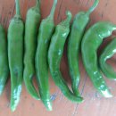 주식회사 알파메디아 이미지