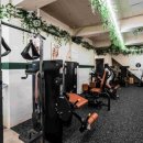 포레스트짐 이미지