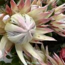 도대농장 이미지