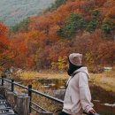 본도시락 밀양점 | 🗓 11월 2주차 주간일기 / 이번주도 알차다