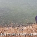 평지낚시