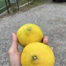 약수2농장 이미지