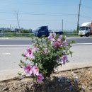 개화주유소 이미지