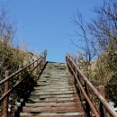 파도고개로 이미지