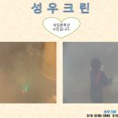 성실크린
