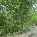 월광수변공원 이미지