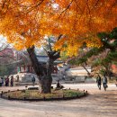 영화당 - 중구 학성로 116 | 영화당
