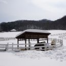 하늘목장 이미지