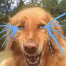 동방온천사우나 이미지