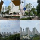 석촌상가 앞 횡단보도 이미지