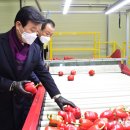 진주원예농협산지유통센터 이미지