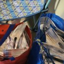 미스터샤크유도짐 이미지