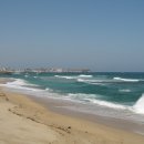 수피랑벼리랑 이미지