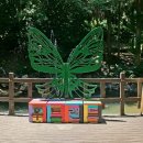 억불산 | 🌲 억불산 산행 후기: 초록에 기대어 쉼을 얻다