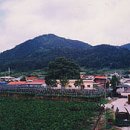 금암1리 이미지