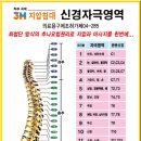 3H스마트지압침대 - 서구 | 3H스마트지압침대