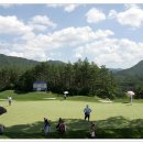 용평 버치힐골프클럽 이미지