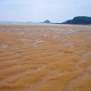 구례포해수욕장(먼동) 이미지