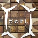 스시카메 이미지