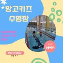 망고 키즈수영장 센텀점 | 망고키즈 수영장 센텀점 방문(등록)후기