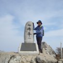 삼보인등