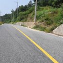 안동오리 이미지