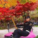 테라카페 Daum카페