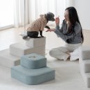 체리쉬펫 이미지