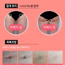 강남더슬림의원 이미지