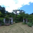 솔의정원 이미지