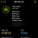 파크수영장 이미지