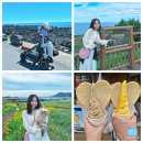 성산청소나라 | 반려견과 제주 서귀포 여행/ 스쿠터 타고 쇠소깍, 성산일출봉, 섭지코지 여행 코스와 빵지순례 보룡제과