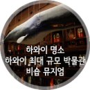 버니스투어