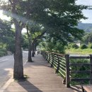 로맨틱533펜션&캠프 이미지