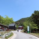 힐링랜드버스주차장 화장실 이미지