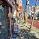 렙타일정글 | 부산 파충류샵 찾는다면 꼭 가봐야 할 썬즈렙타일 후기, 생물 컨디션에 진심인 곳