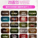 멀티핏 프리미엄 황신혜 다이어트 효과 가격 부작용 알아보기
