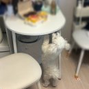 부일클래스 | 초여름이 시작된 6월 첫째 주 🌿