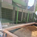 신내동-015 이미지