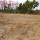 영덕야성초등학교 매정분교장 이미지