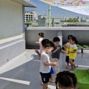 신나는 물풍선놀이와 물총놀이~방울 토마토 수확의 즐거움도 느껴보았어요 이미지