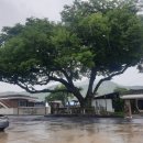 경천애인 작은도서관 이미지